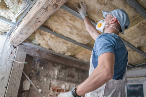 Best Insulation Replacement Services  in Dewey Humboldt, AZ