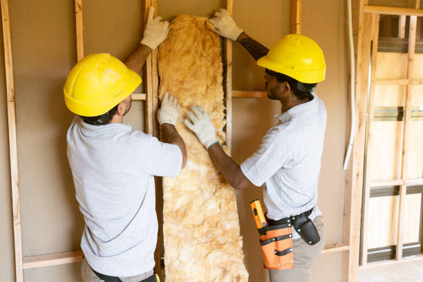 Best Insulation Contractors for Homes  in Dewey Humboldt, AZ